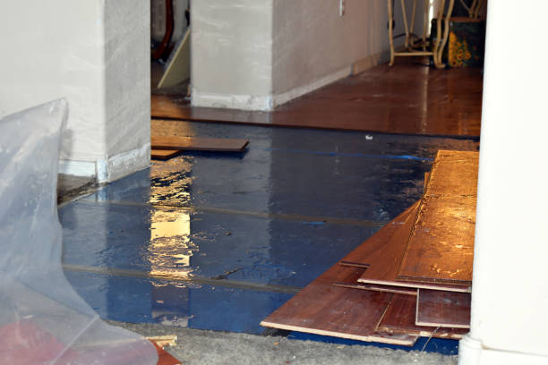 Professional Burst Pipe Water Damage technician working in Trimble, OH